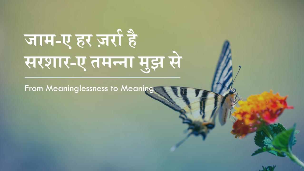 जाम-ए हर ज़र्रा है सरशार-ए तमन्ना मुझ से ।